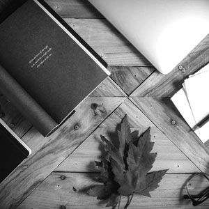 Customized SEO services